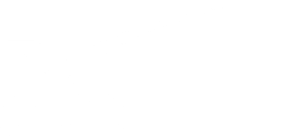 Starlink Wifi