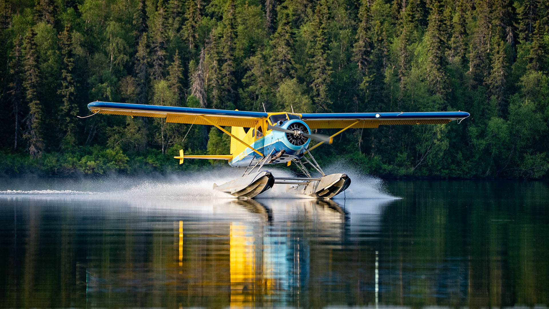 Tikchik Narrows Floatplane