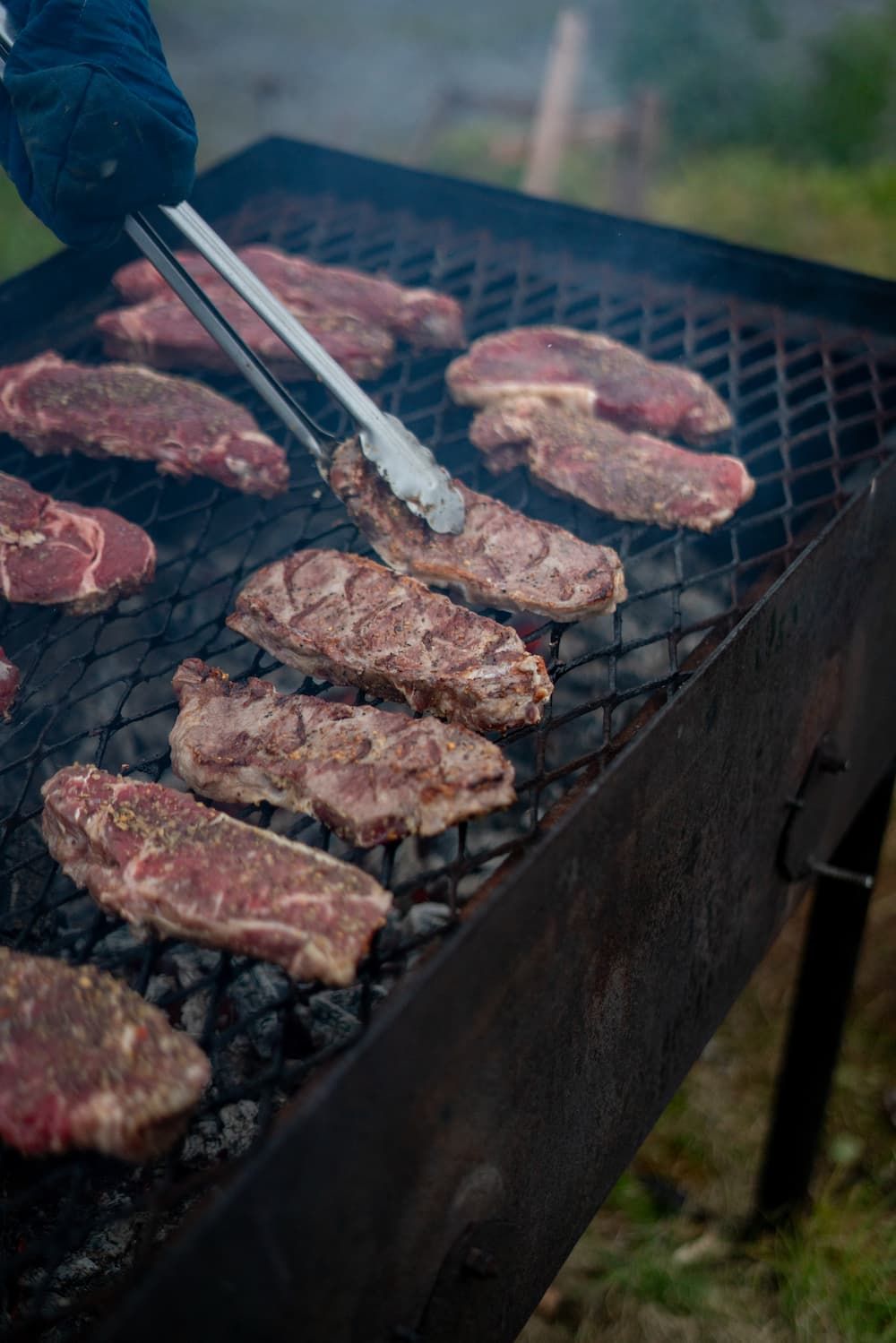 New York Strip Steak in Alaska 