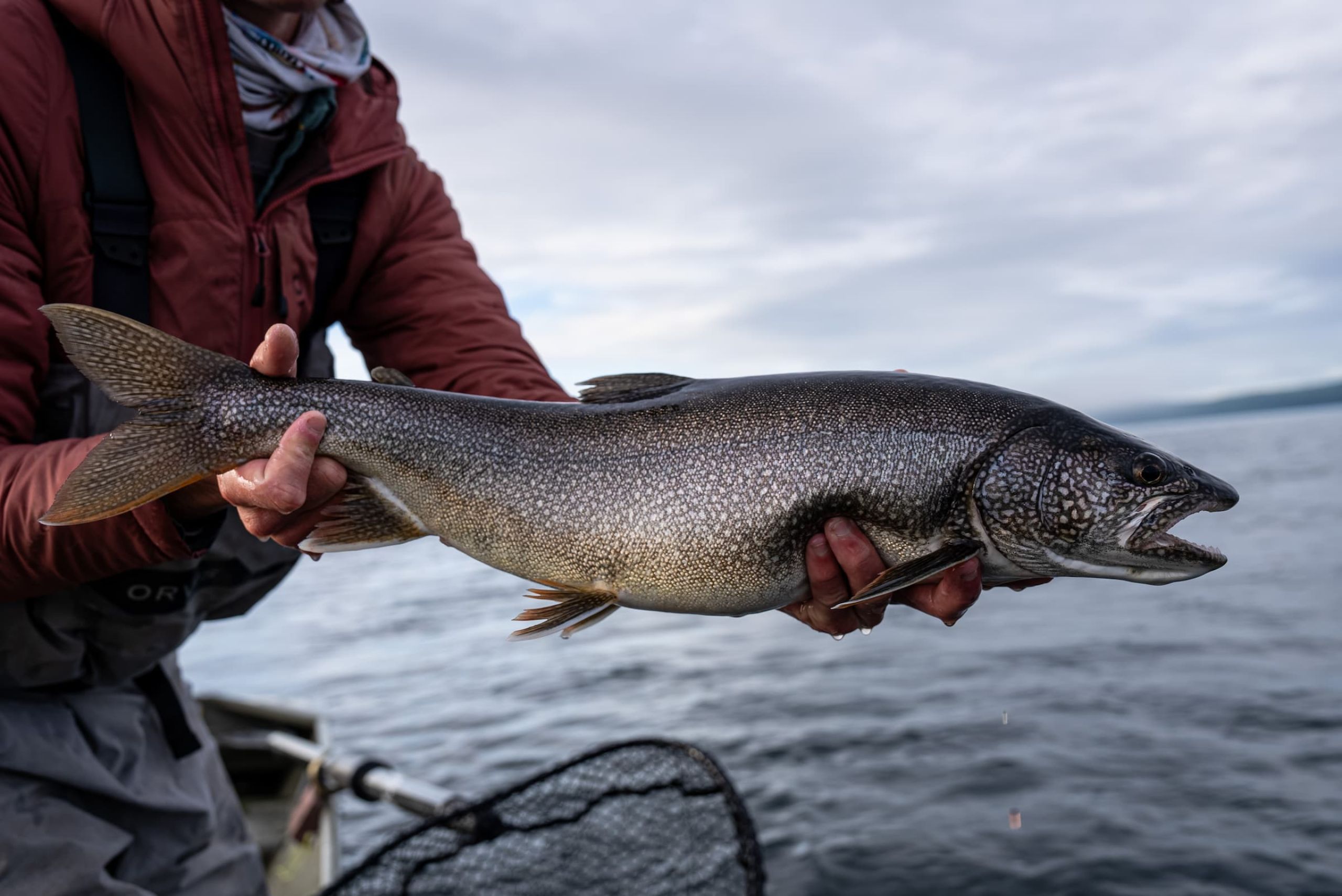 Fly Fishing for Lake Trout in Alaska 