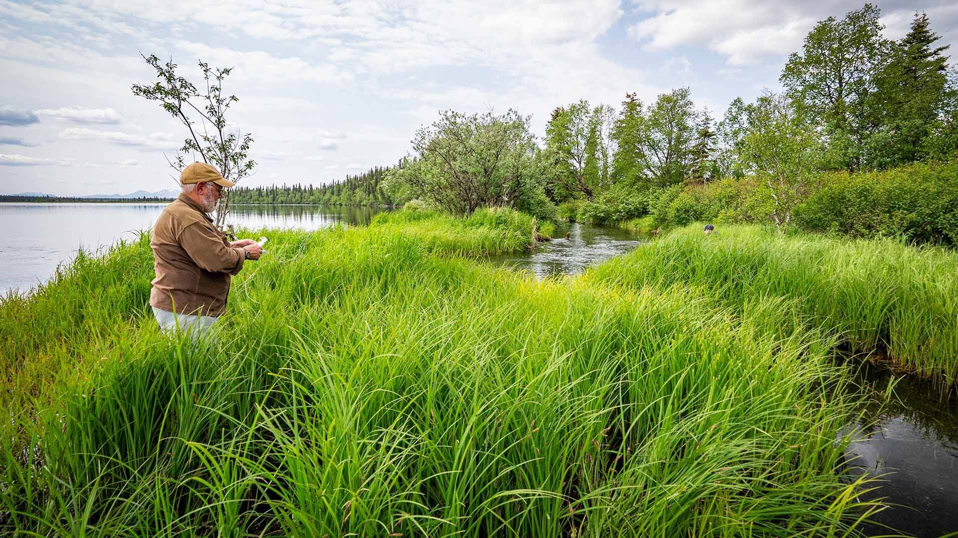 Technical Trout Fishing Western Alaska 