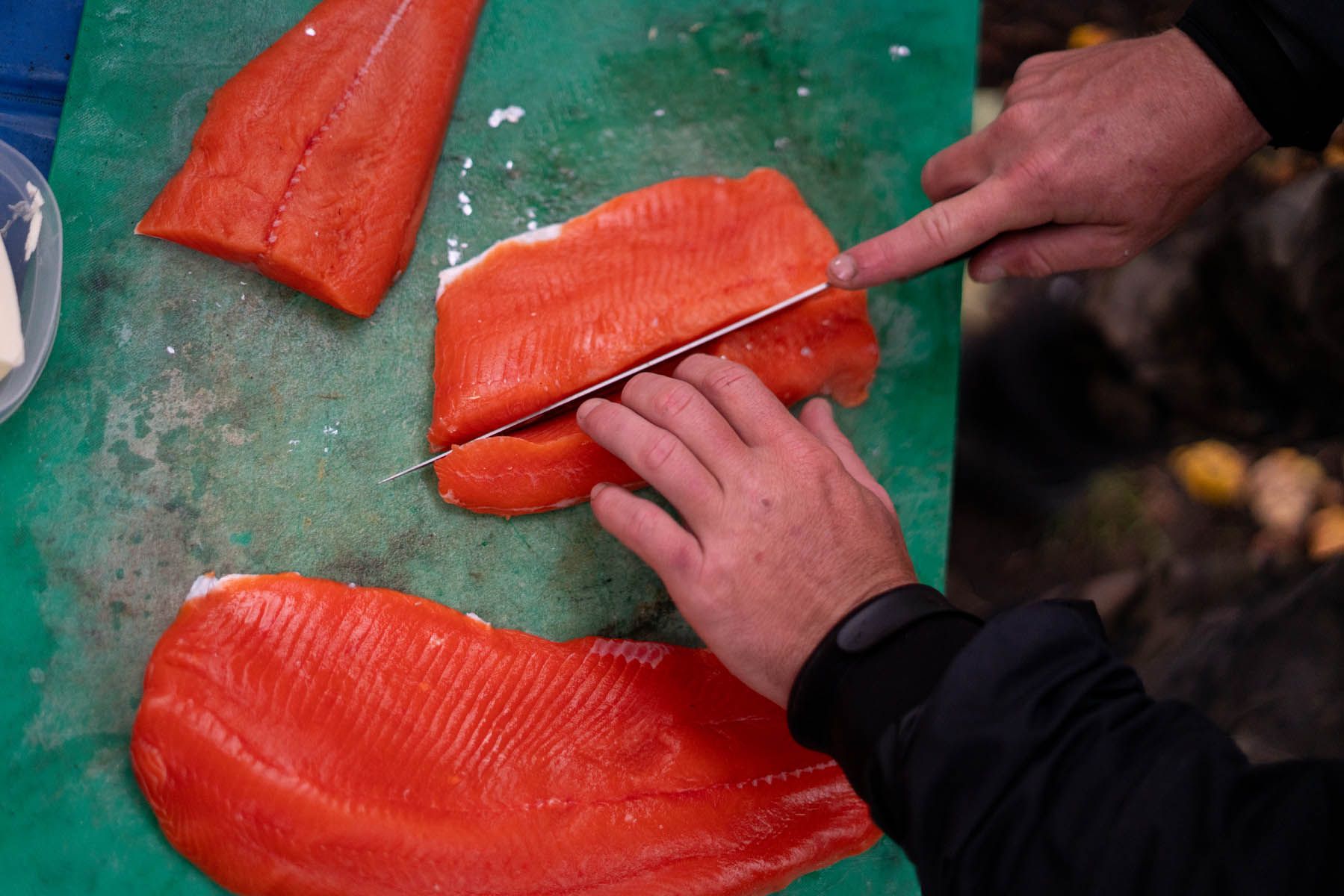 Preparing Sockeye Salmon for Shorelunch 