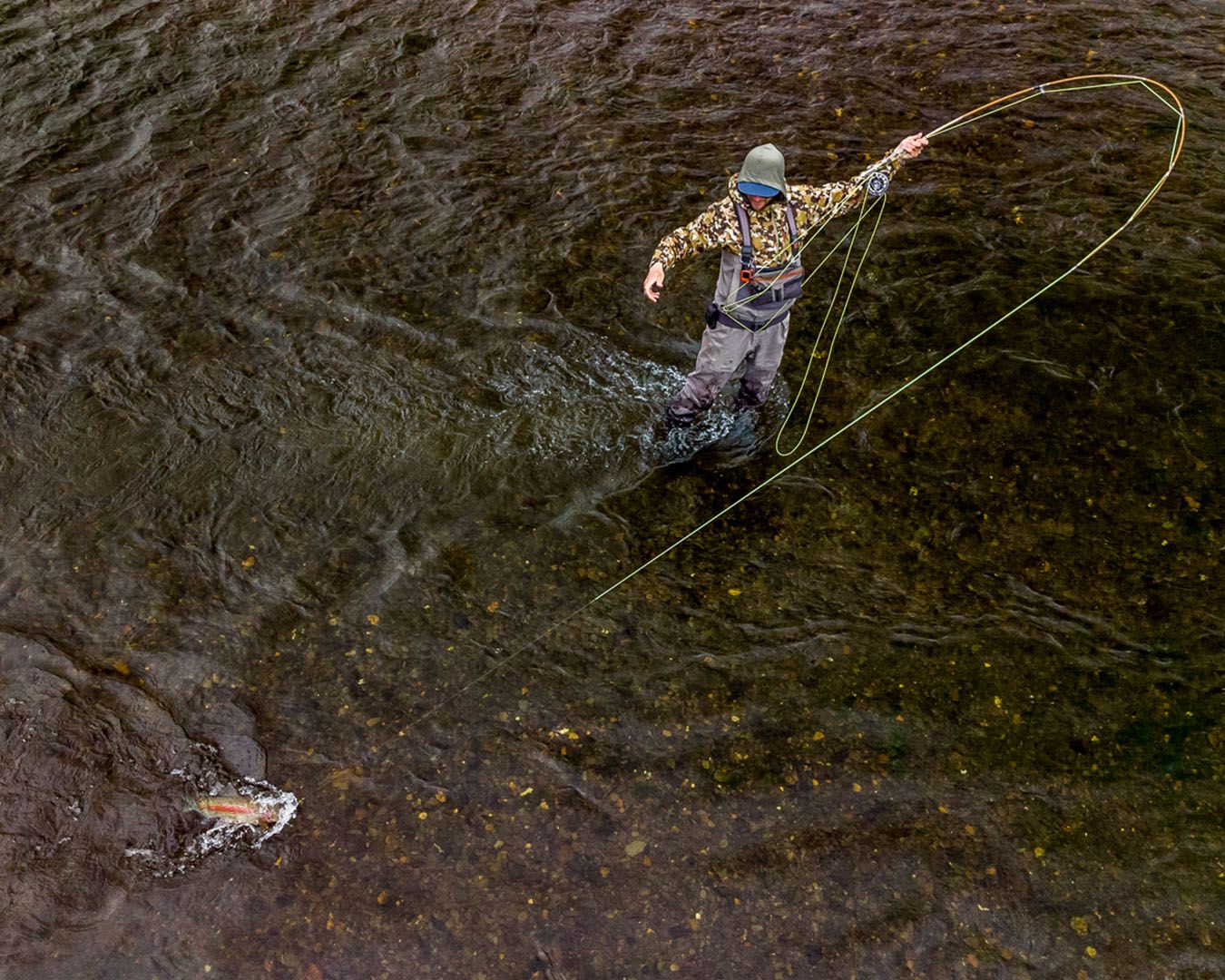 Mousing for Rainbow Trout