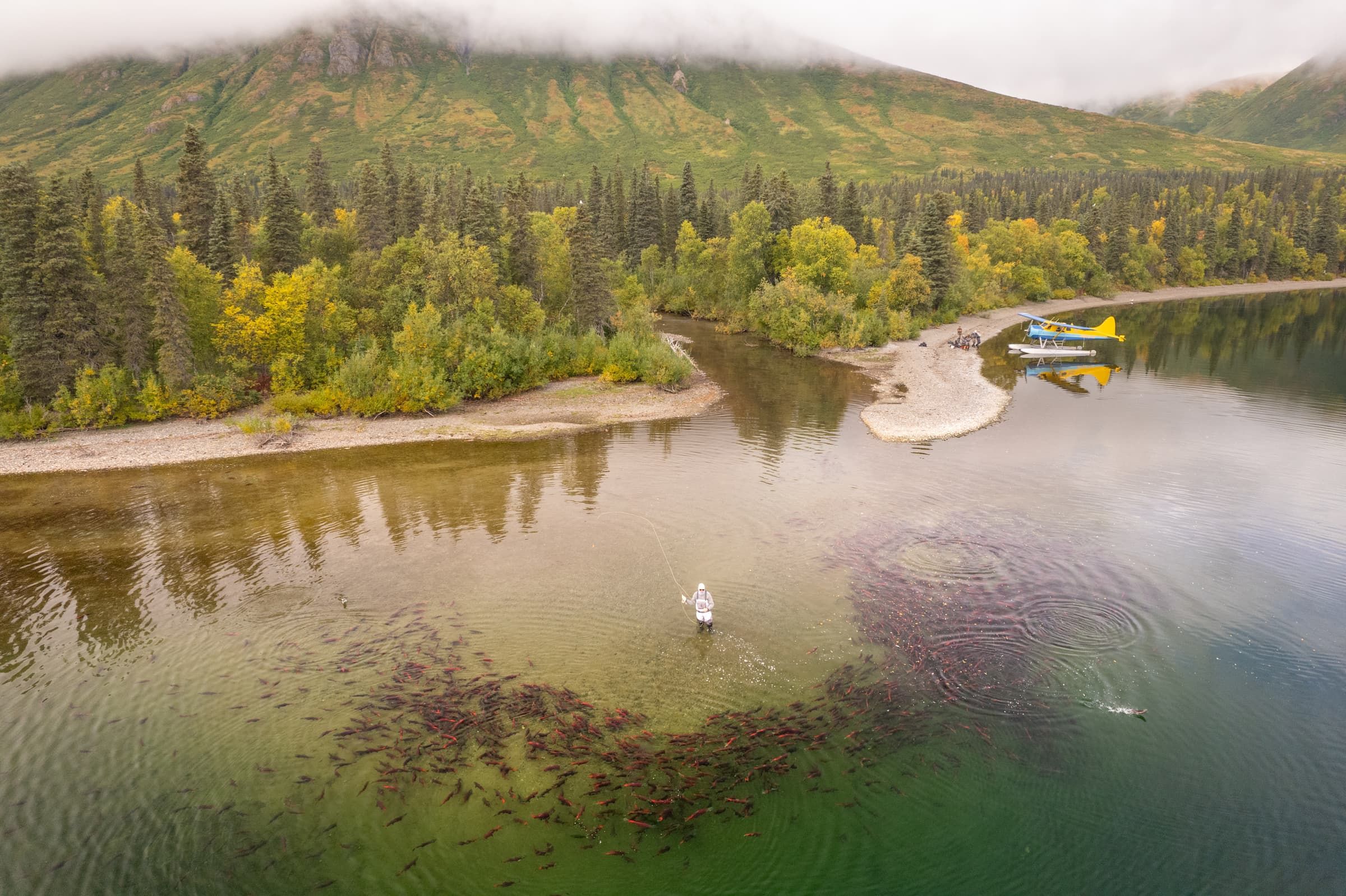 Fly Out Fishing Alaska 