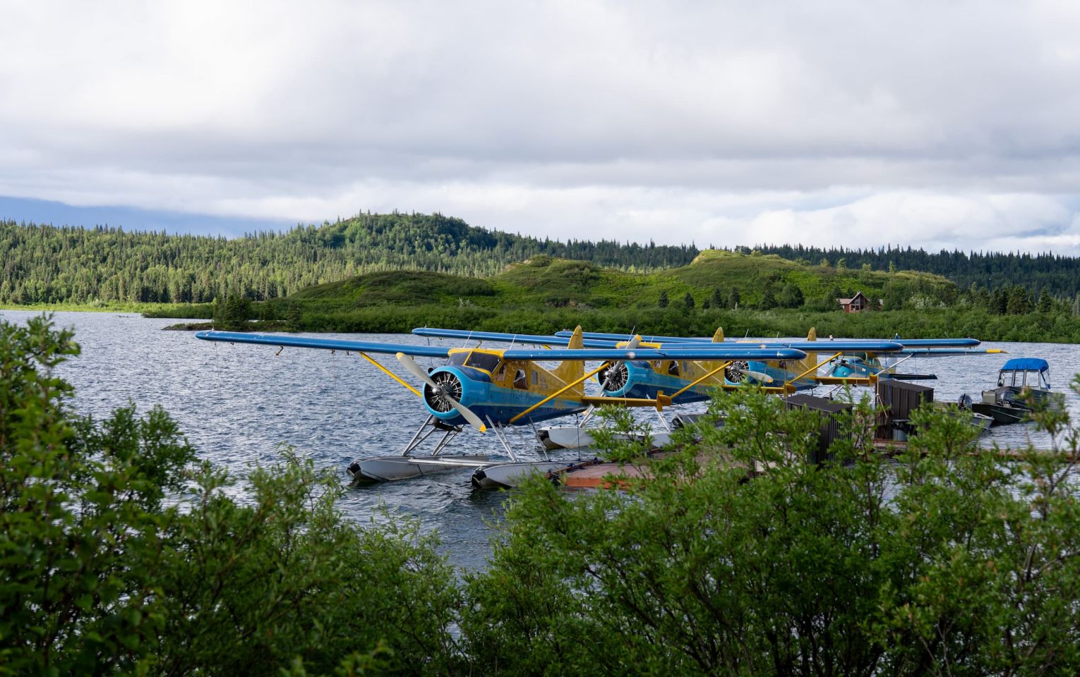 Dehavilland Beaver Float Plane Fleet