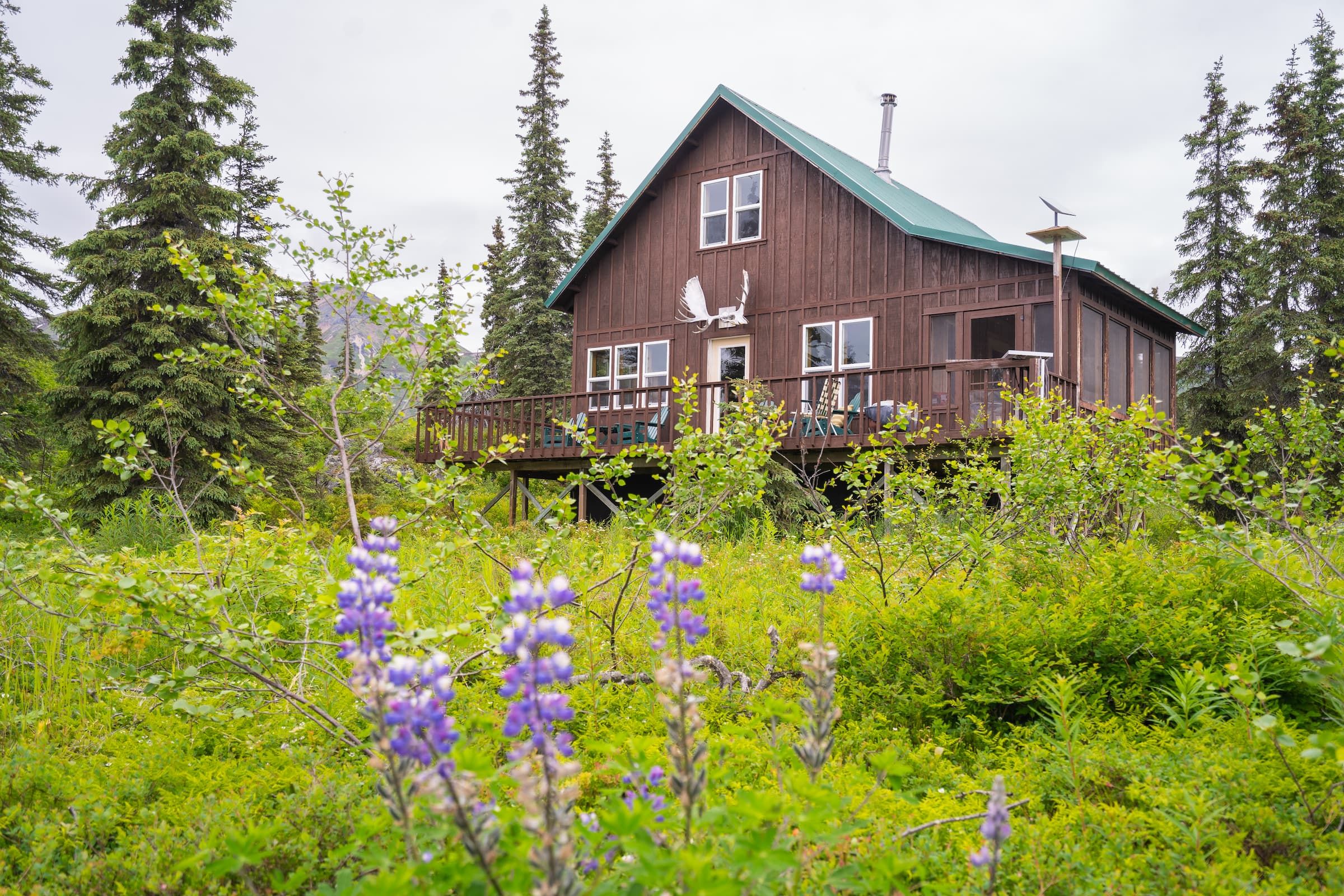 Shorelunch in Alaska 