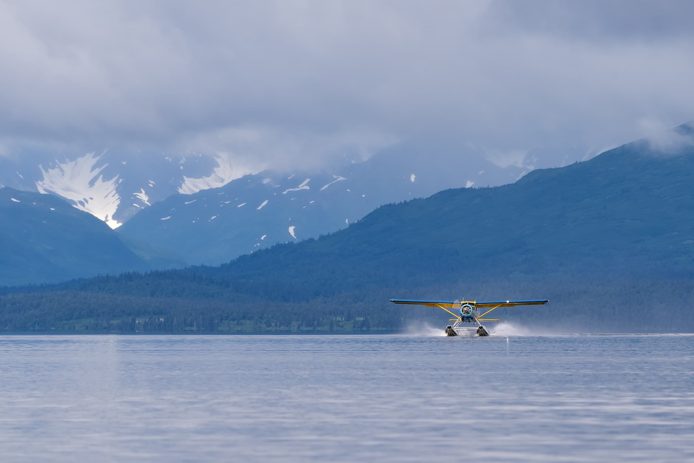 Tikchik Narrows Beaver Pilot 