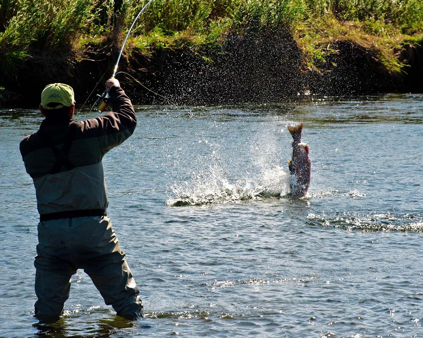 Remote King Salmon Fishing in Alaska 