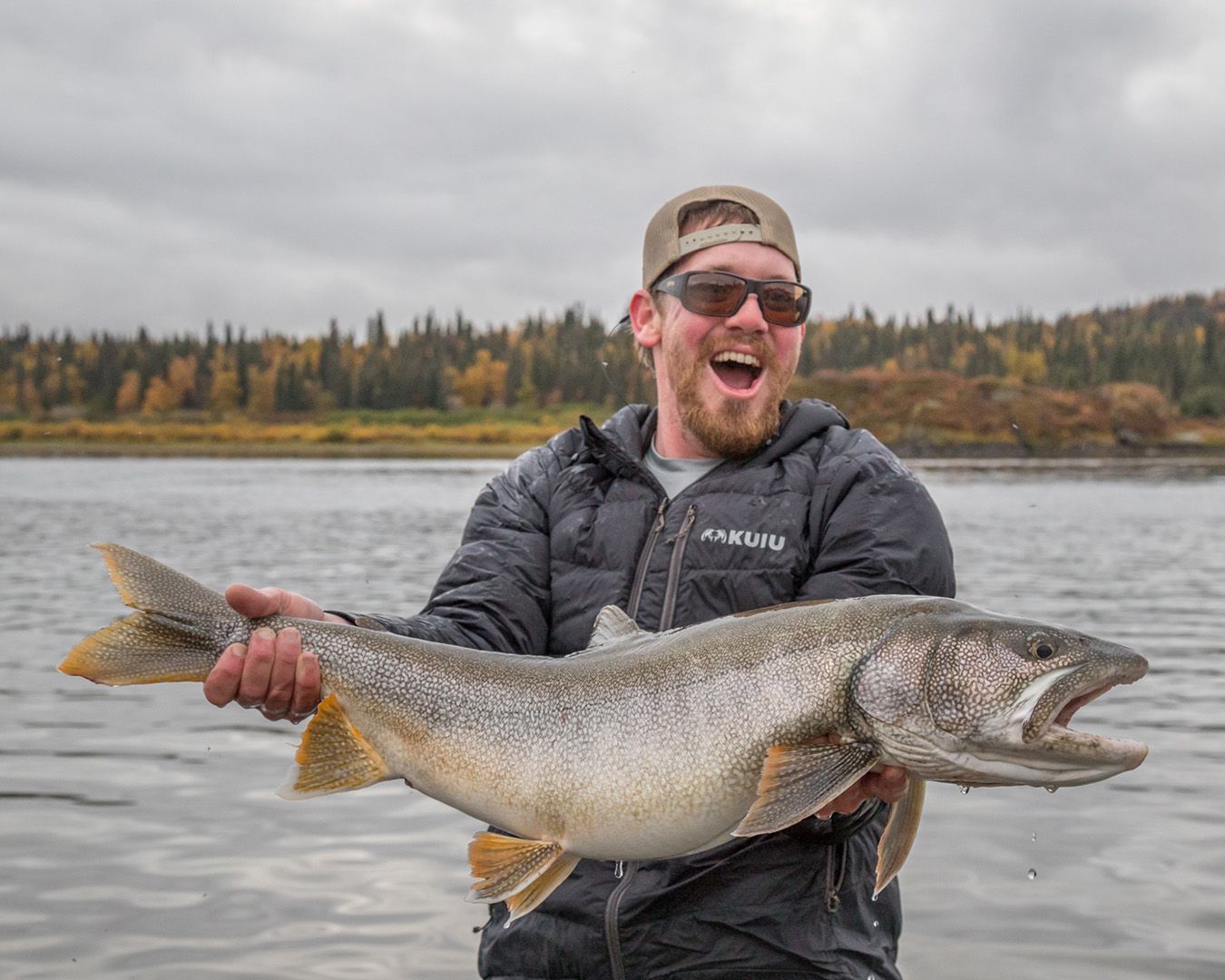 Trophy Lake Trout at Tikchik Narrows 