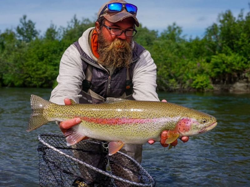 Trophy Rainbow Trout on the Nushagak River